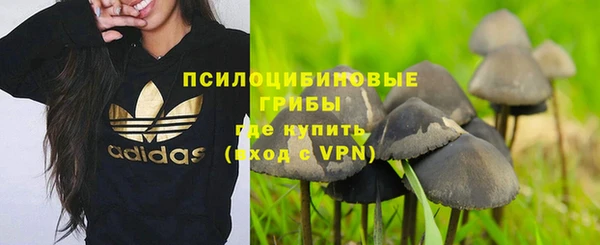 mdpv Дмитров