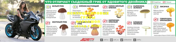 мескалин Дмитриев