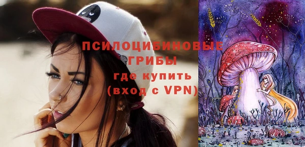 мескалин Дмитриев
