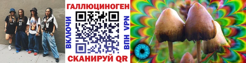 Галлюциногенные грибы Magic Shrooms Волжский