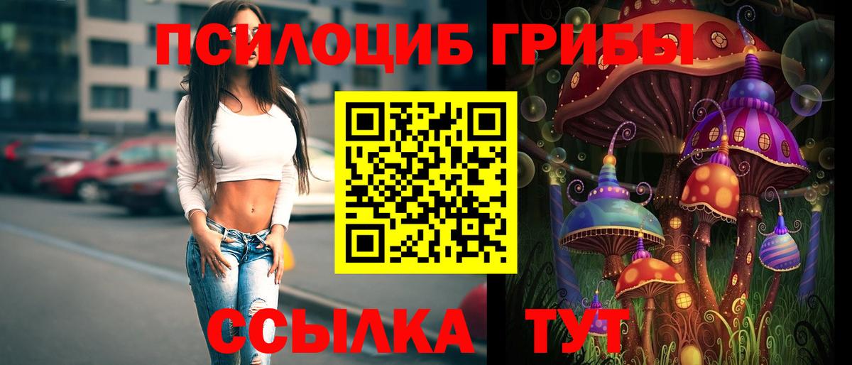 Псилоцибиновые грибы GOLDEN TEACHER Волжский